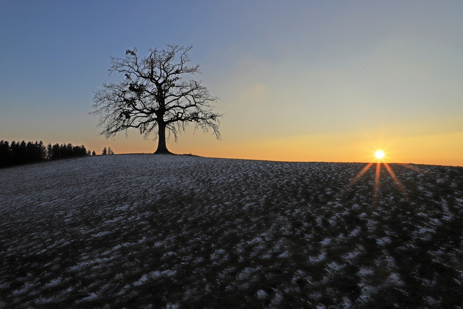 Ein Bild vom Sonnenuntergang bei meinem Lieblingsbaum...