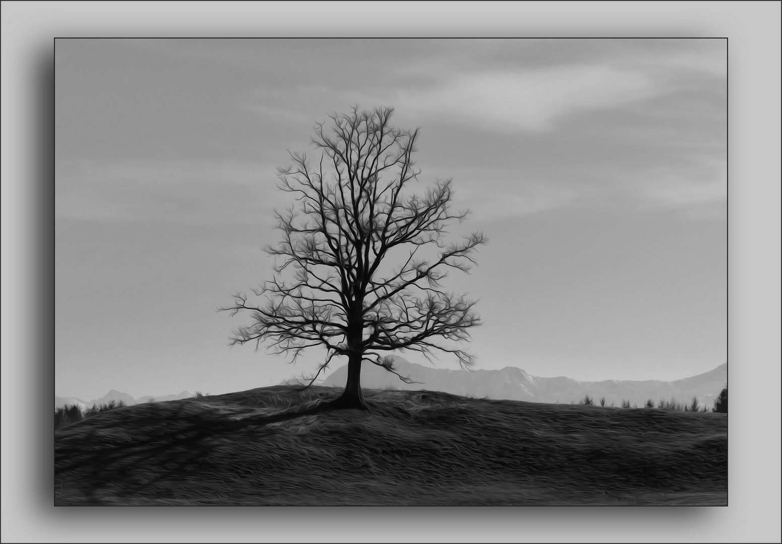 Ein Bild von einem Baum