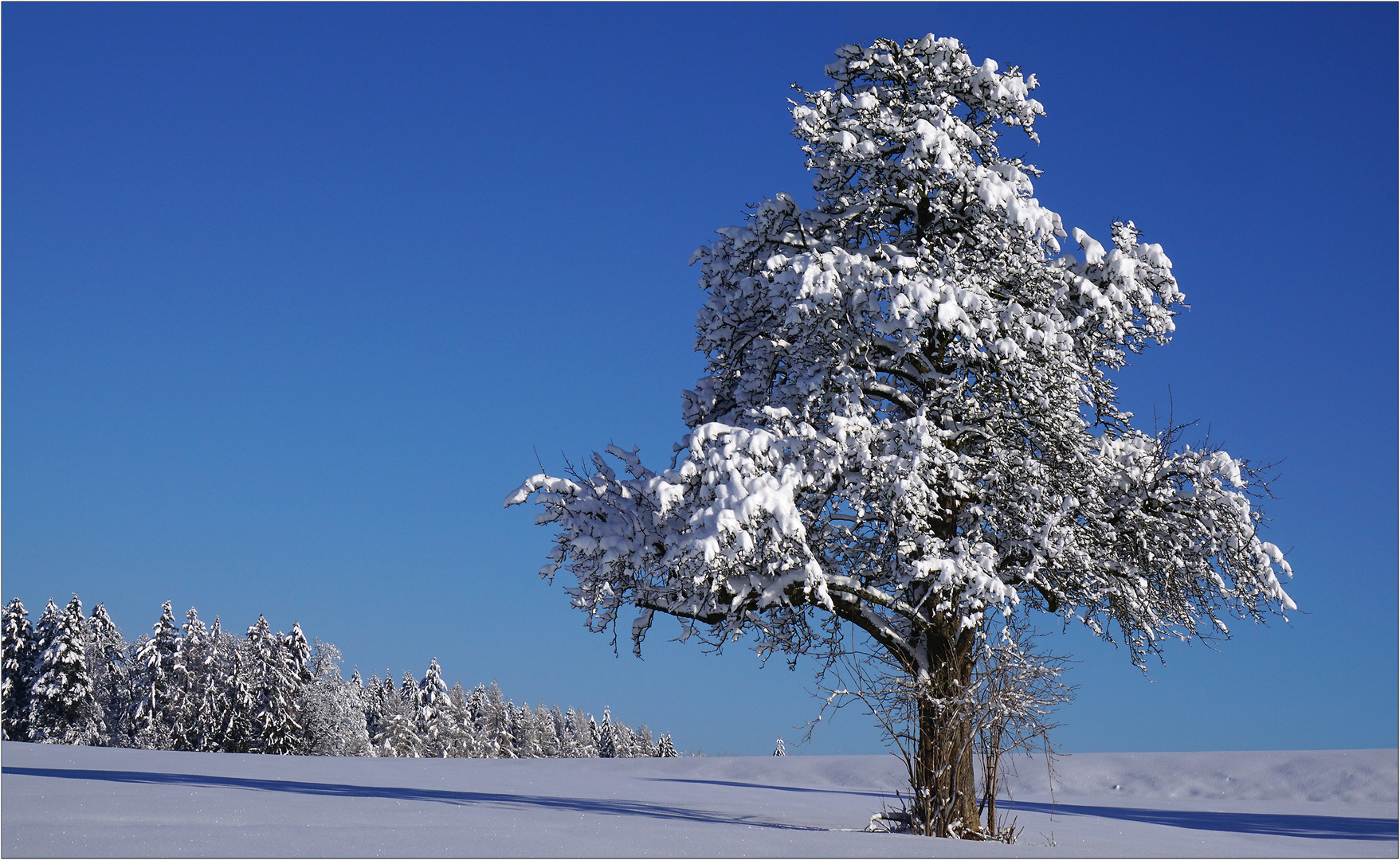 Ein Bilderbuchwinter