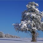 Ein Bilderbuchwinter