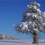 Ein Bilderbuchwinter