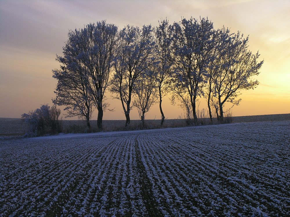 ein bischen Schnee noch....