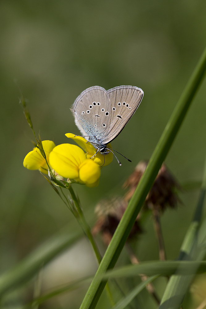 Ein bischen Sommer