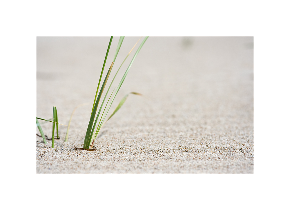 Ein bischen Strand