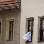 Ein bisken windig war`s am Torgauer Marktplatz