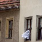 Ein bisken windig war`s am Torgauer Marktplatz