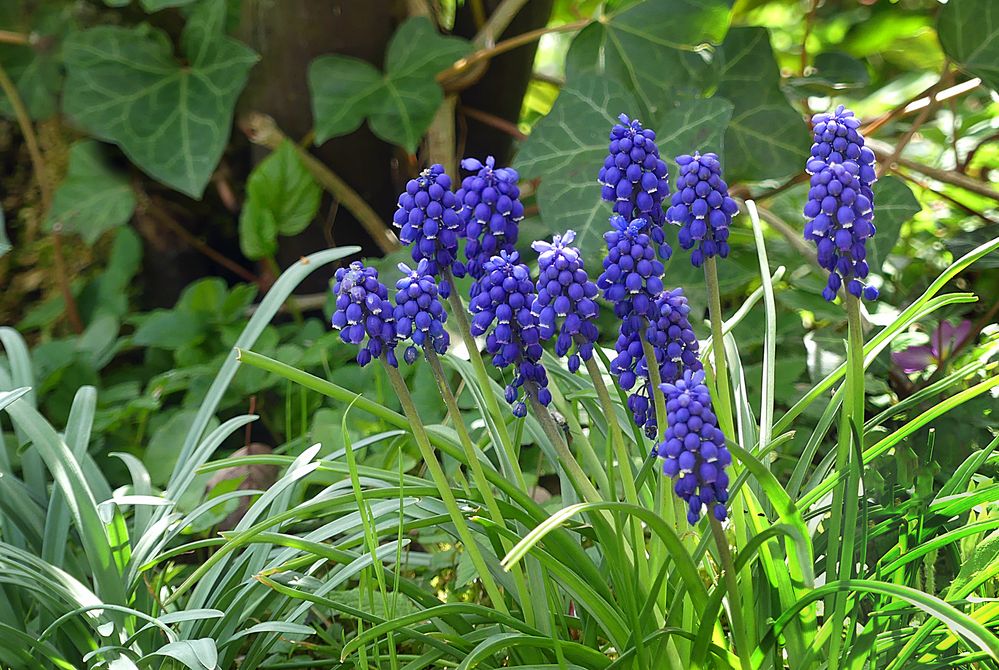 Ein bisschen Blau