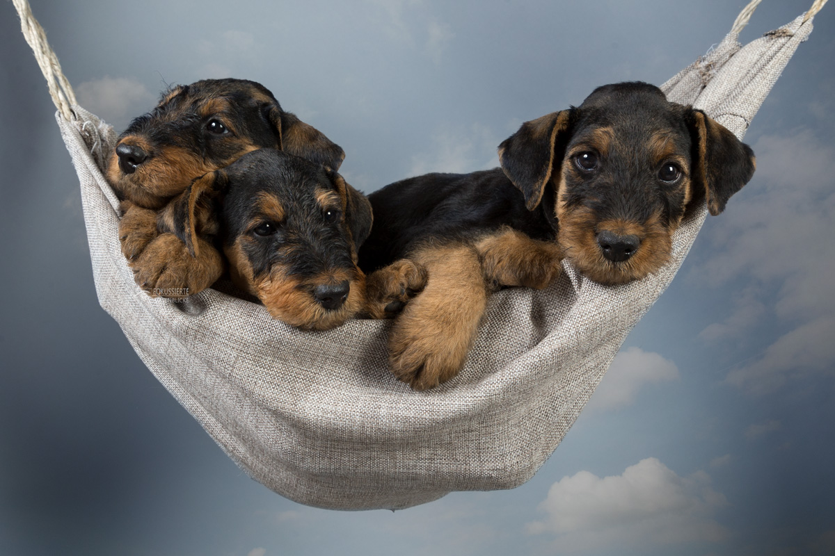 Ein bisschen Chillen muss sein