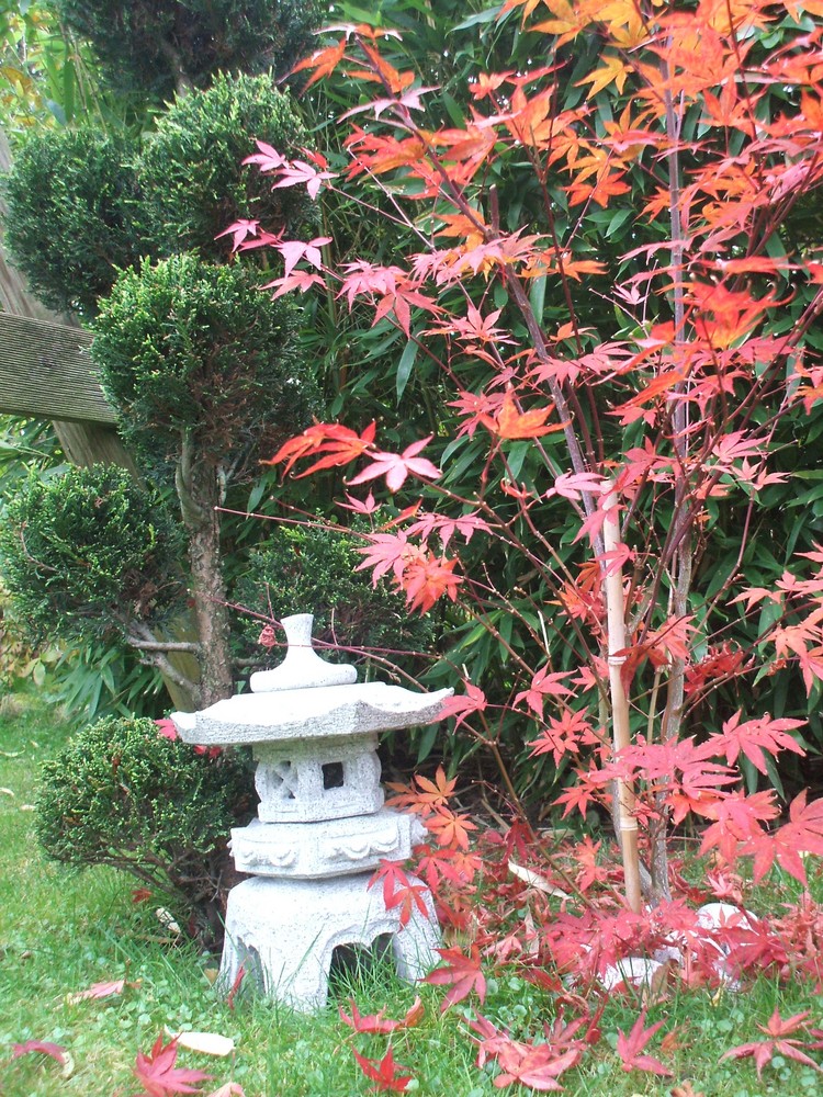 Ein bisschen China im Garten