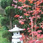 Ein bisschen China im Garten