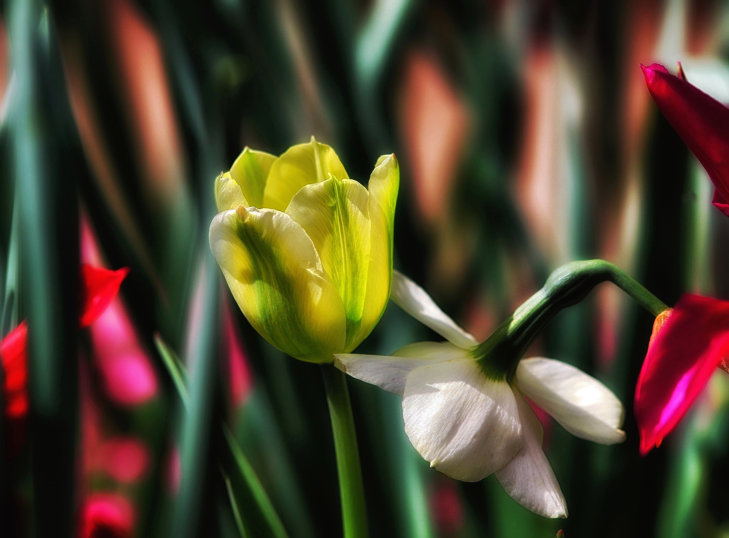 ein bisschen dem Frühling nachspüren