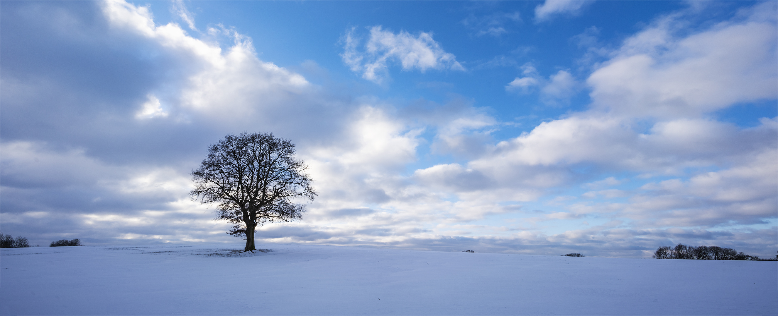 … Ein bisschen Erleuchtung  im winterlichen Stil …