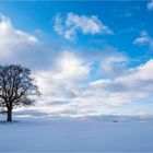 … Ein bisschen Erleuchtung  im winterlichen Stil …