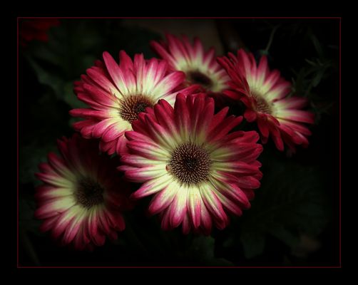 Ein bisschen Farbe...