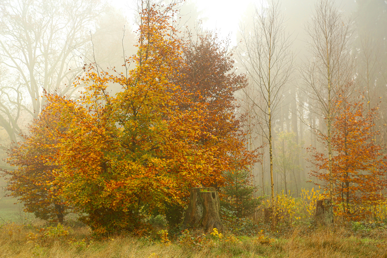 Ein bisschen Farbe