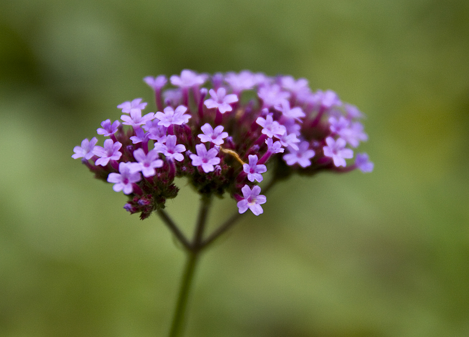 ein bisschen Farbe