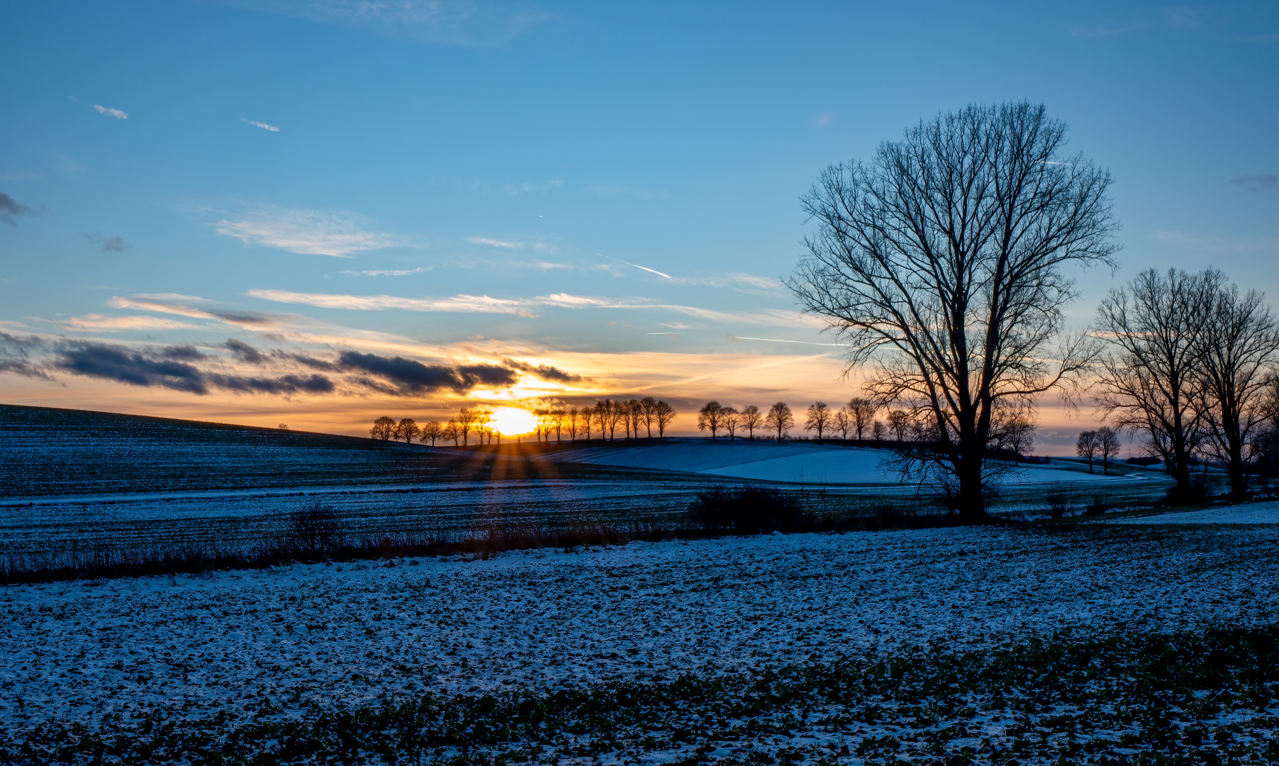 ein bisschen Farbe für graue Wintertage