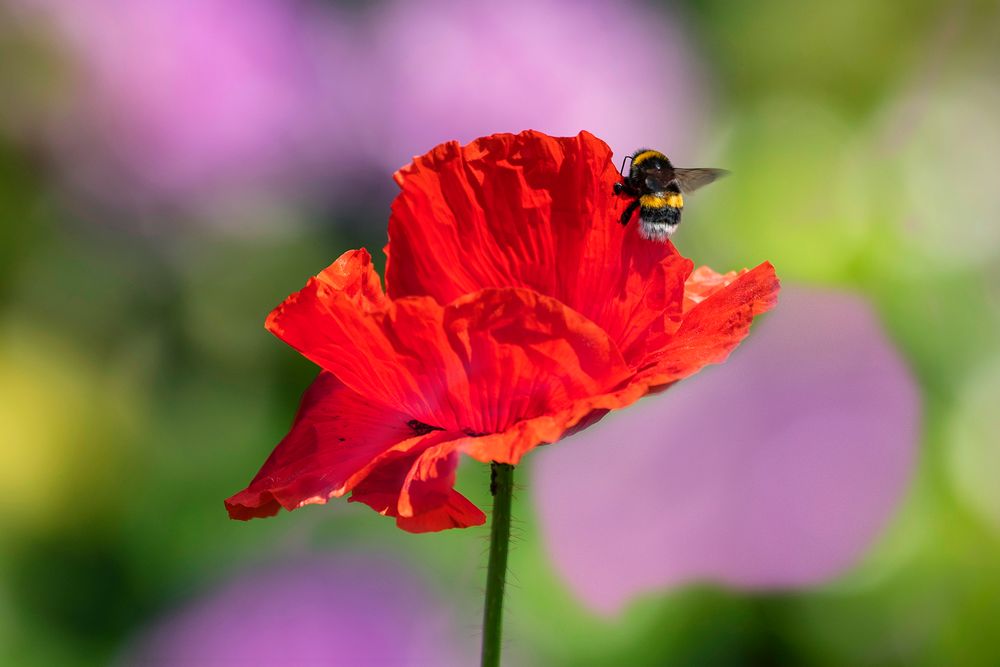 Ein bisschen Farbe gegen das tägliche Einheitsgrau