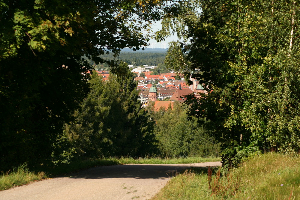 Ein bisschen Freudendtadt