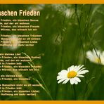 Ein-bisschen-Frieden