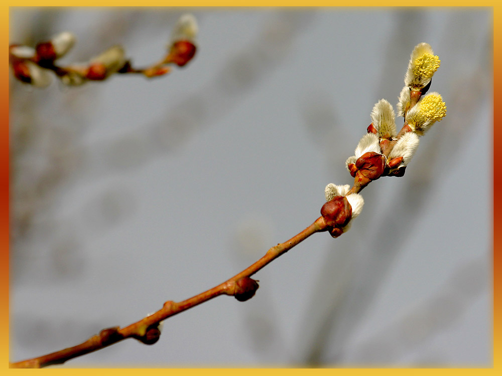 Ein bißchen früh - oder?