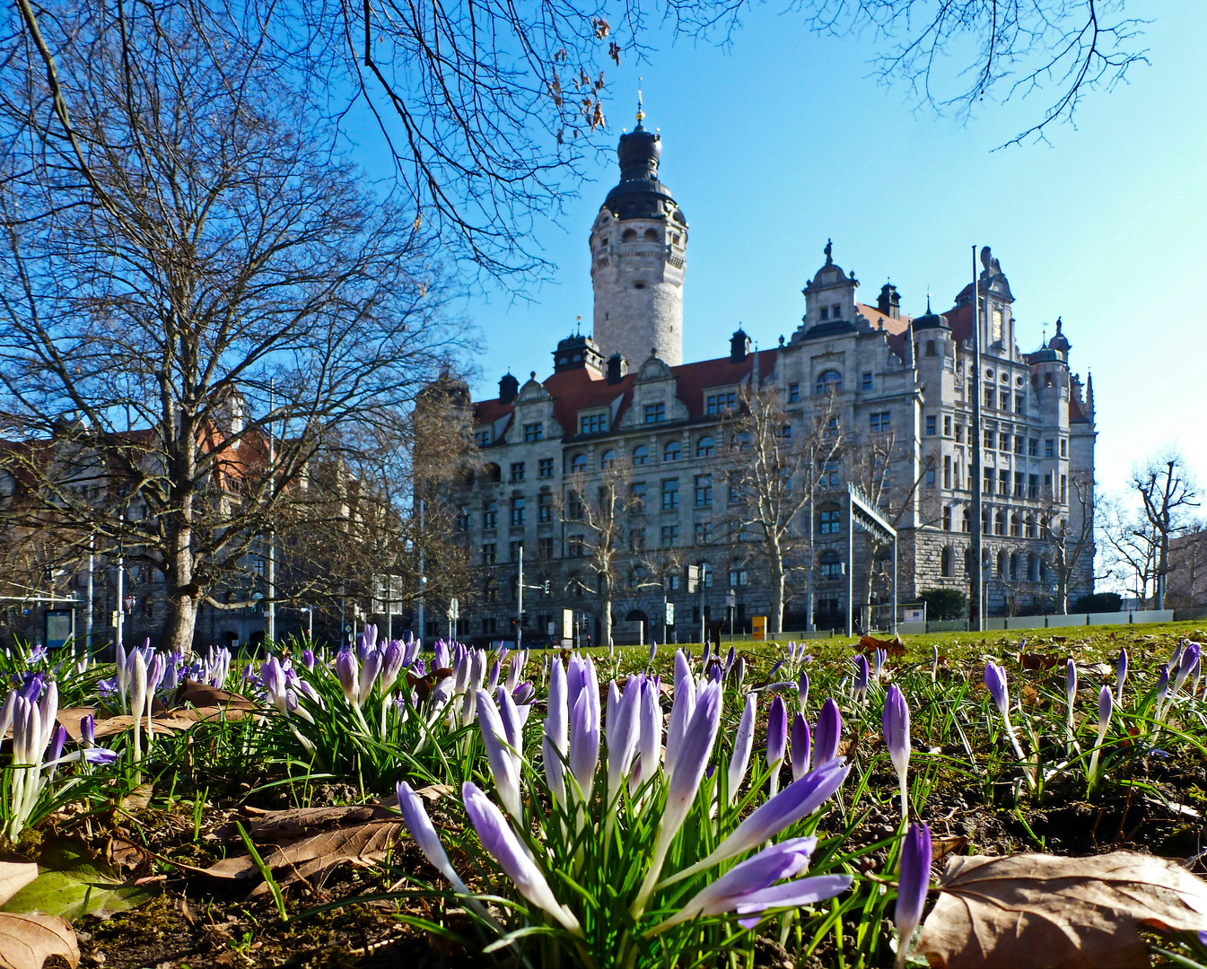 Ein bißchen Frühling