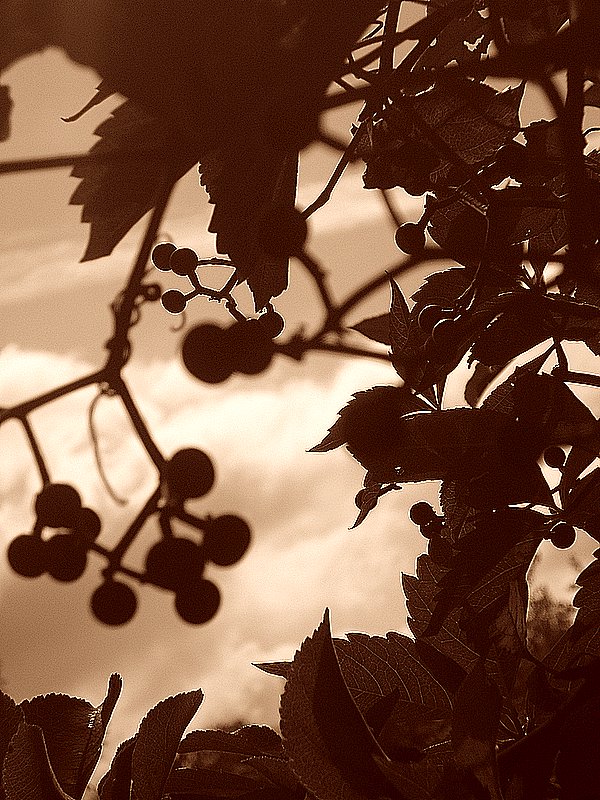 Ein bisschen Frühling