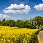 ...ein bisschen Frühling...