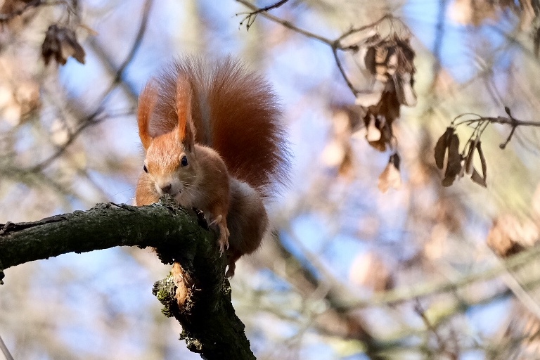 Ein bisschen Frühling