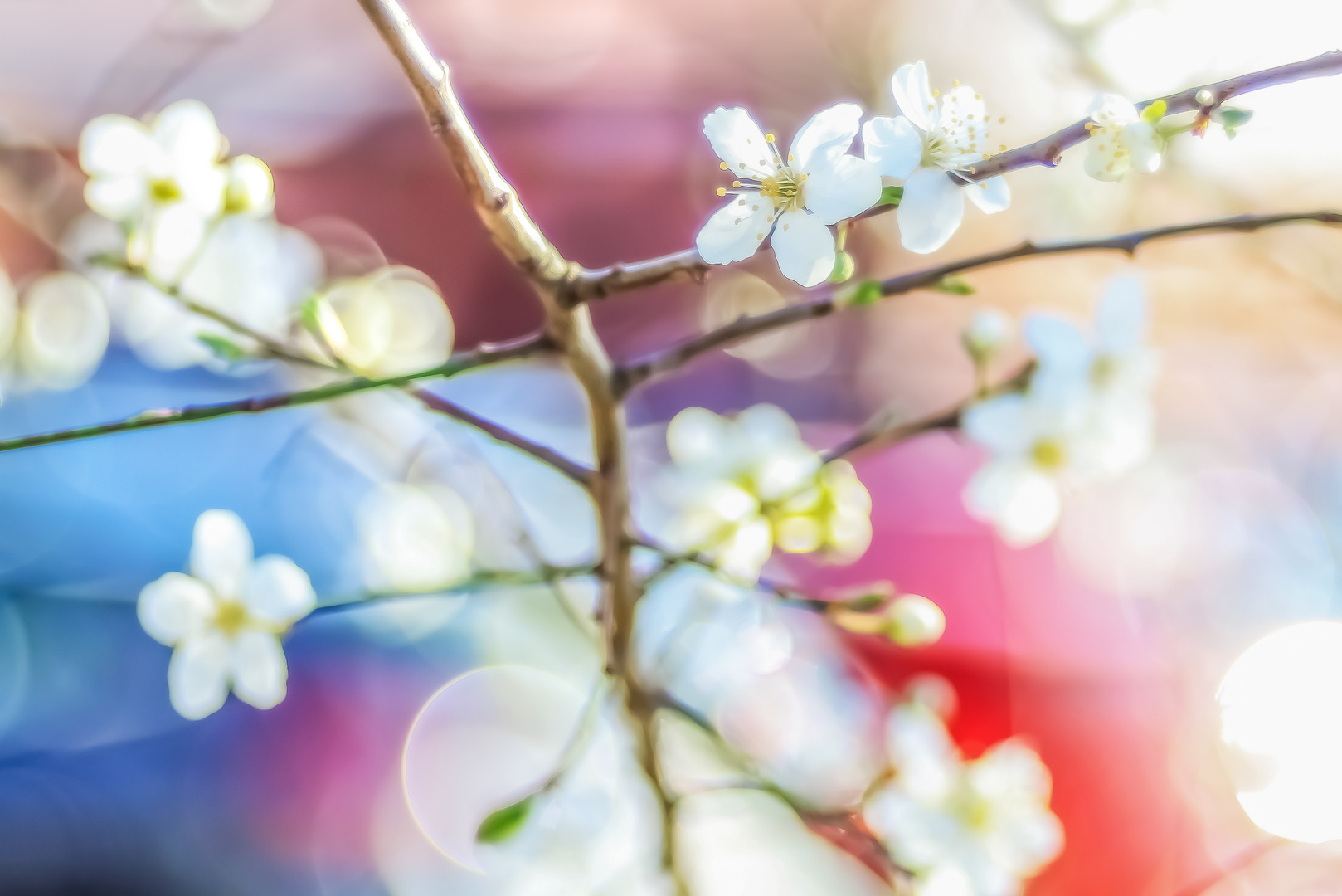 Ein bisschen Frühling