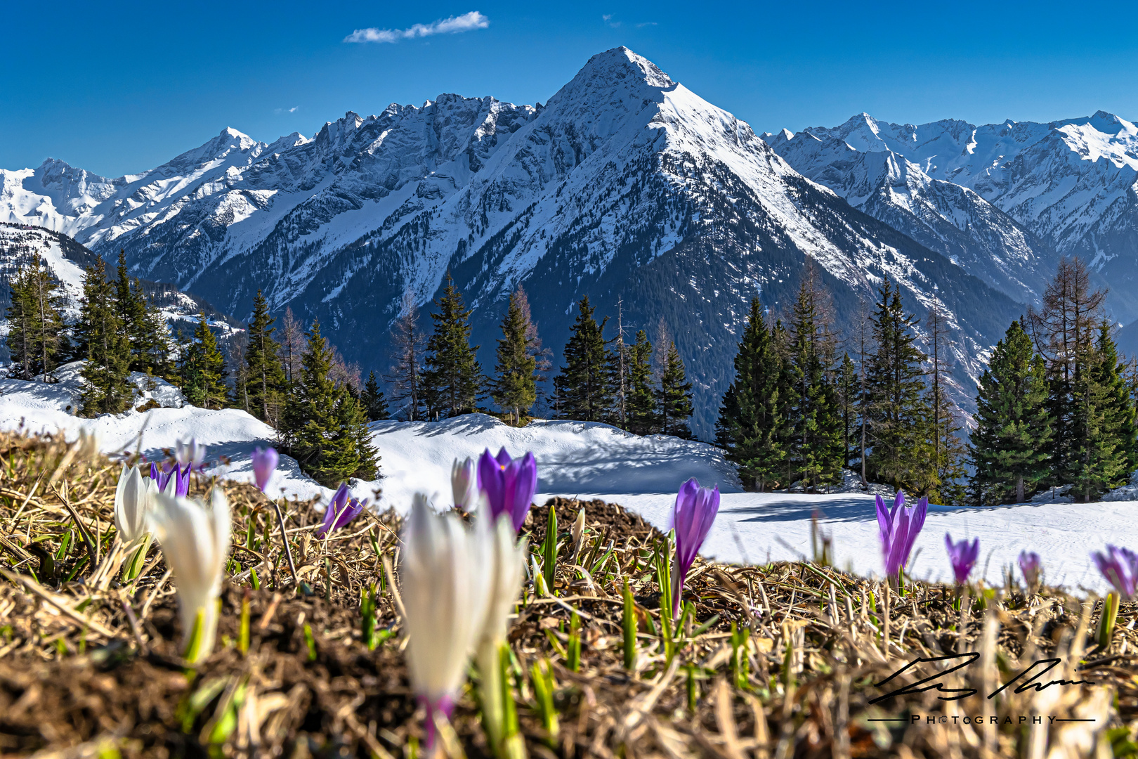 ein bisschen Frühling