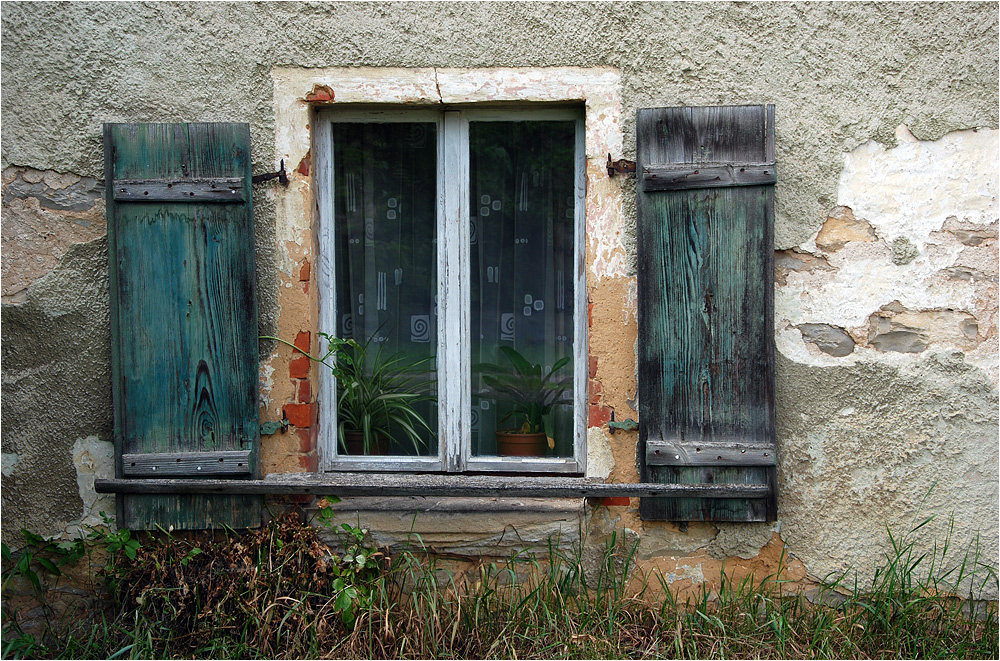 Ein bißchen Grün vor und hinter dem Fenster