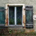 Ein bißchen Grün vor und hinter dem Fenster