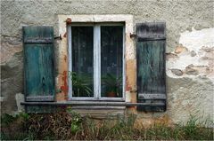 Ein bißchen Grün vor und hinter dem Fenster