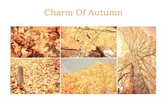 Ein bisschen Herbst...