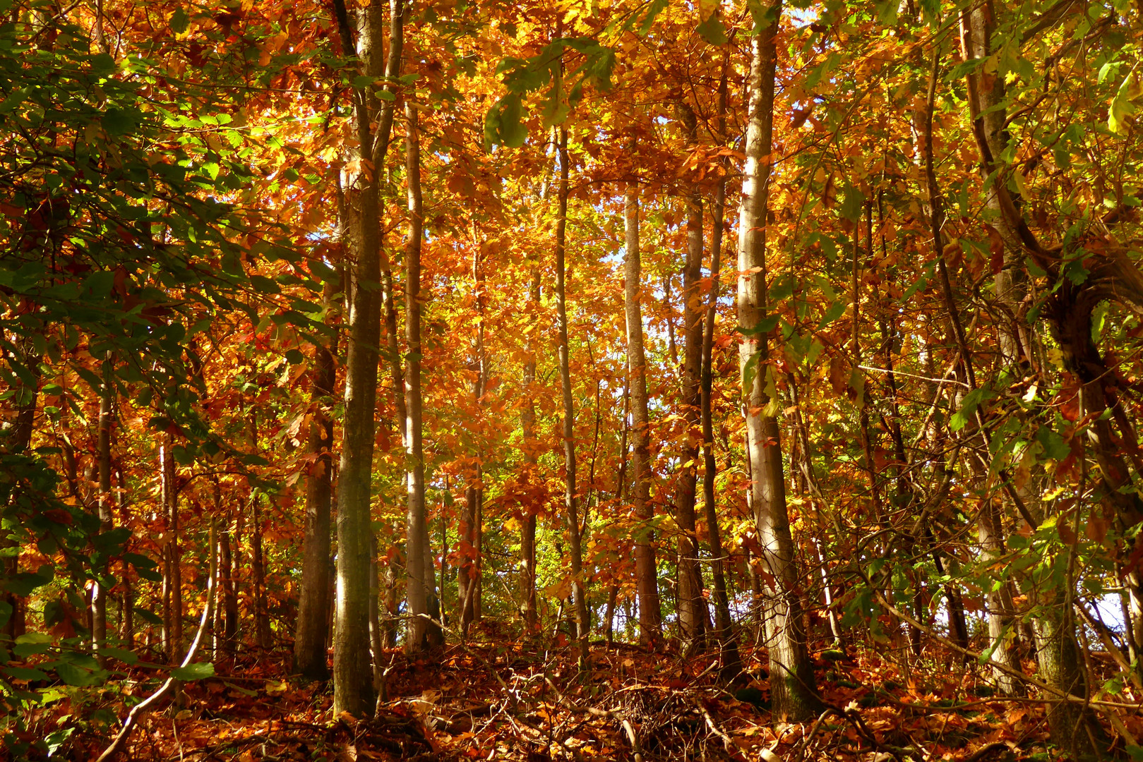 Ein "bisschen" Herbst