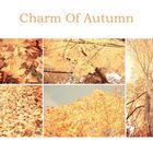 Ein bisschen Herbst...