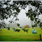 Ein bisschen Herbst auf dem Lande