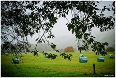 Ein bisschen Herbst auf dem Lande