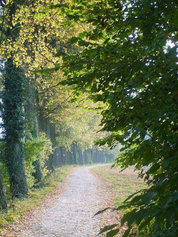 ein bisschen Herbst