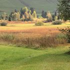 Ein bisschen Herbst im Hochmoor Rothenthurm