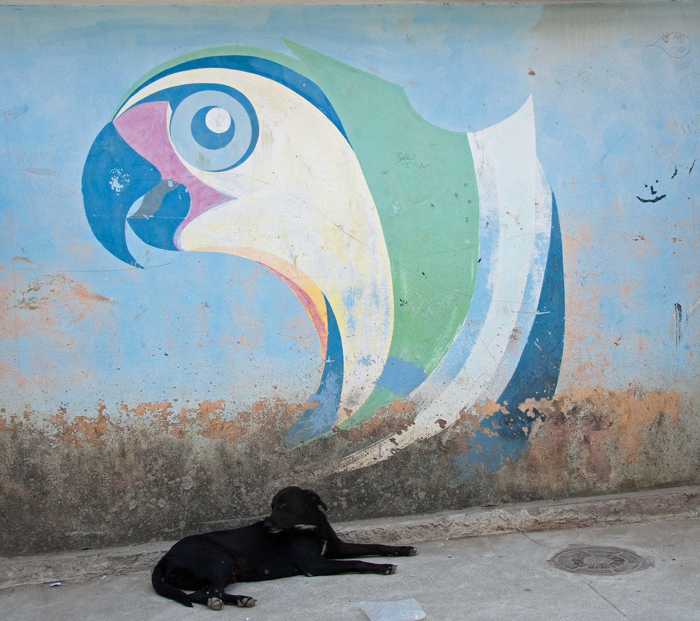 Ein bisschen Kunst geht immer Foto & Bild south america, brazil, rio de janeiro Bilder auf