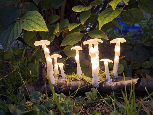 Ein bisschen Licht in...