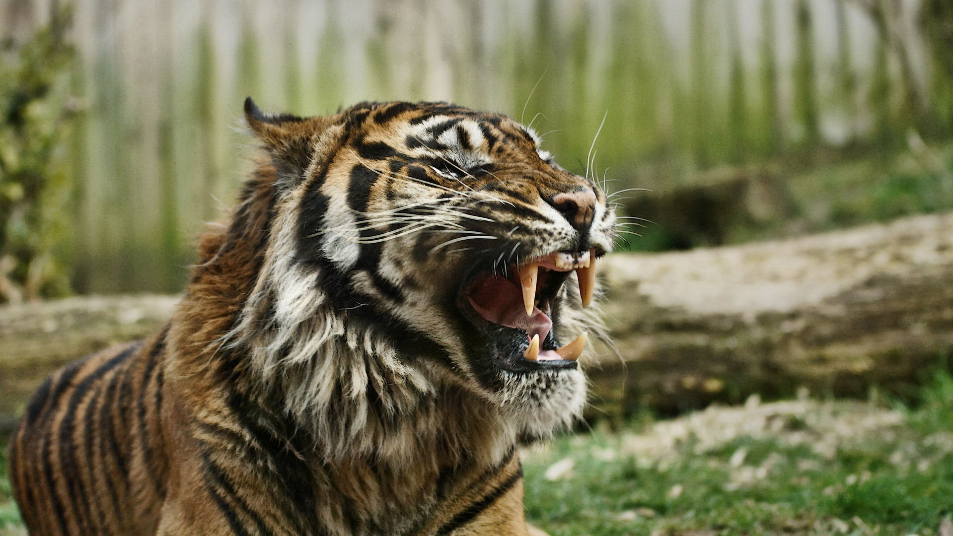 Ein bisschen mehr Abstand...