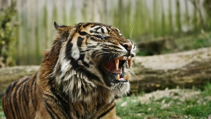 Ein bisschen mehr Abstand...