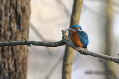 Ein bisschen mehr vom Umfeld