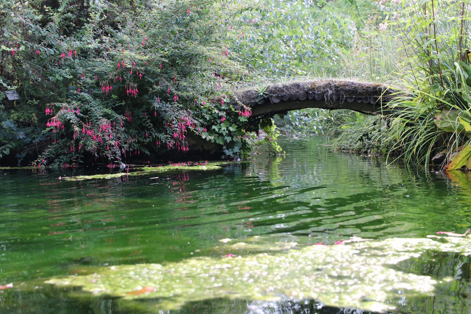 Ein bißchen Monet