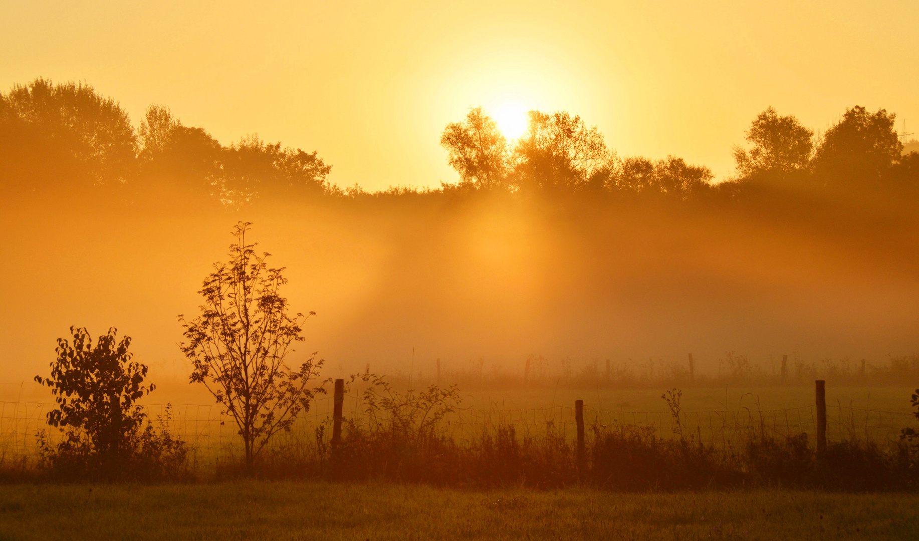 Ein 'bisschen' Morgenstimmung ...