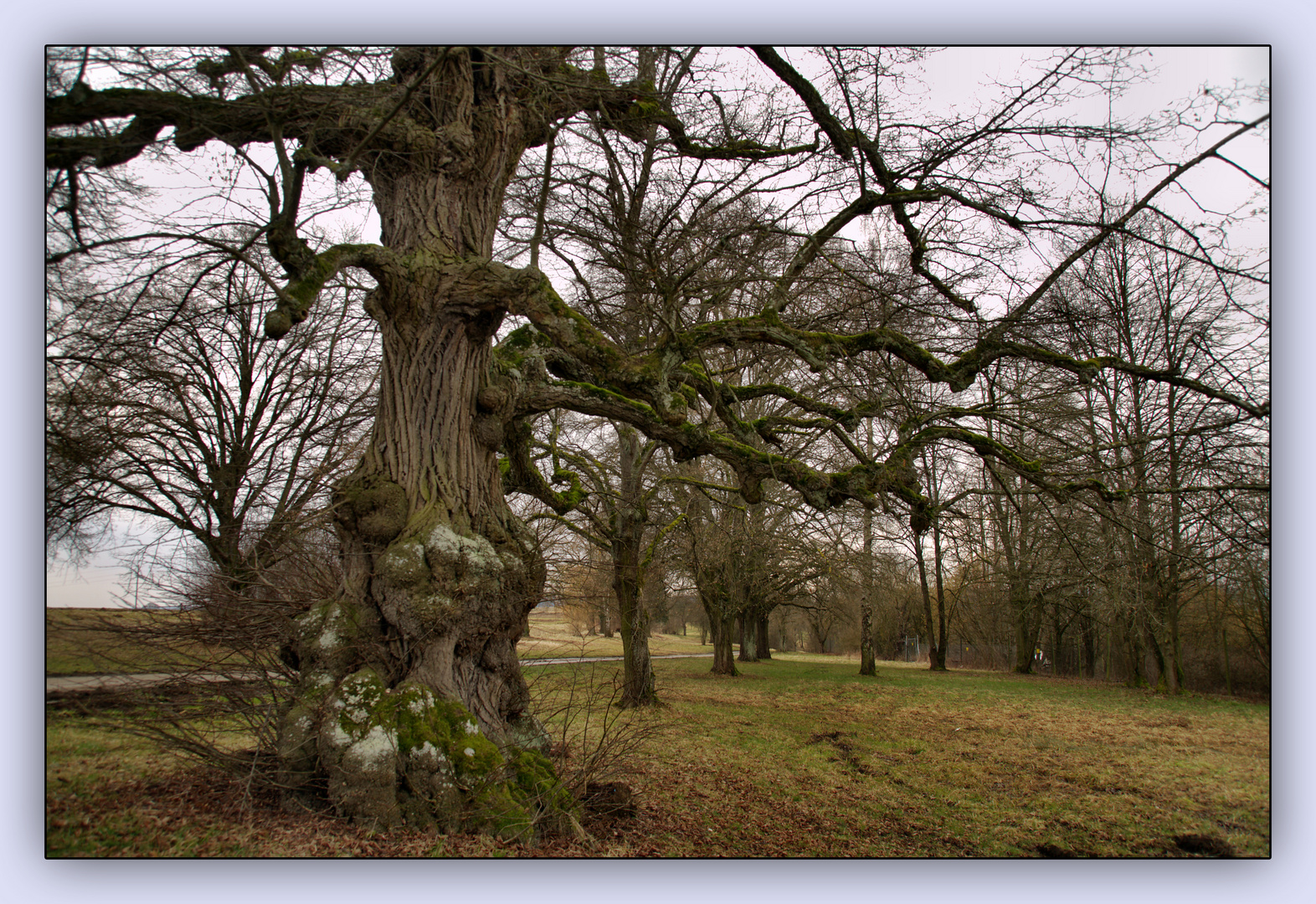 ein bißchen Natur