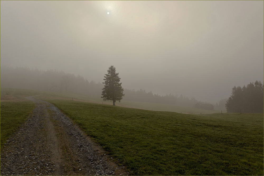 Ein bisschen Nebel ...